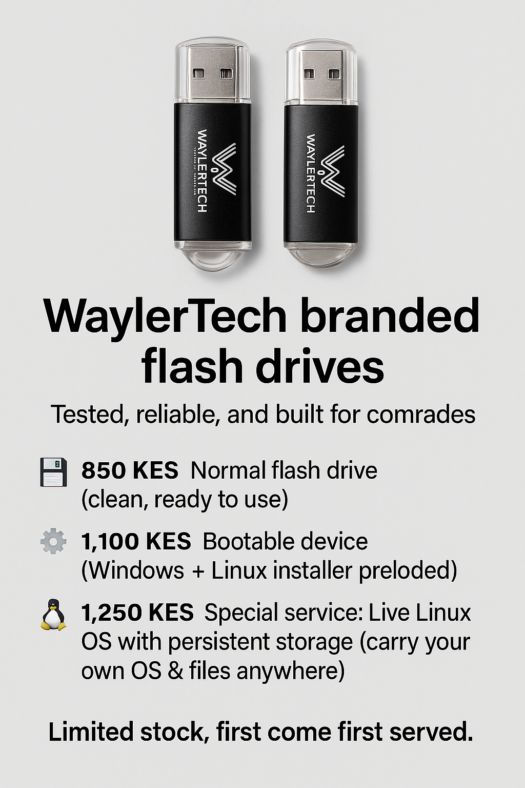 WaylerTech 16GB Flash Drive (Tested & Reliable)